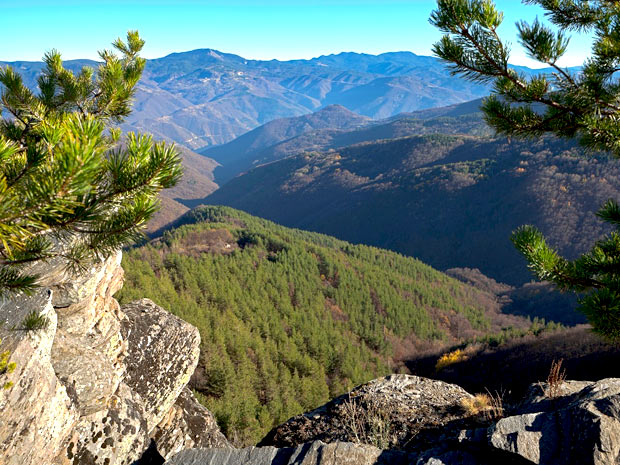 rodopi